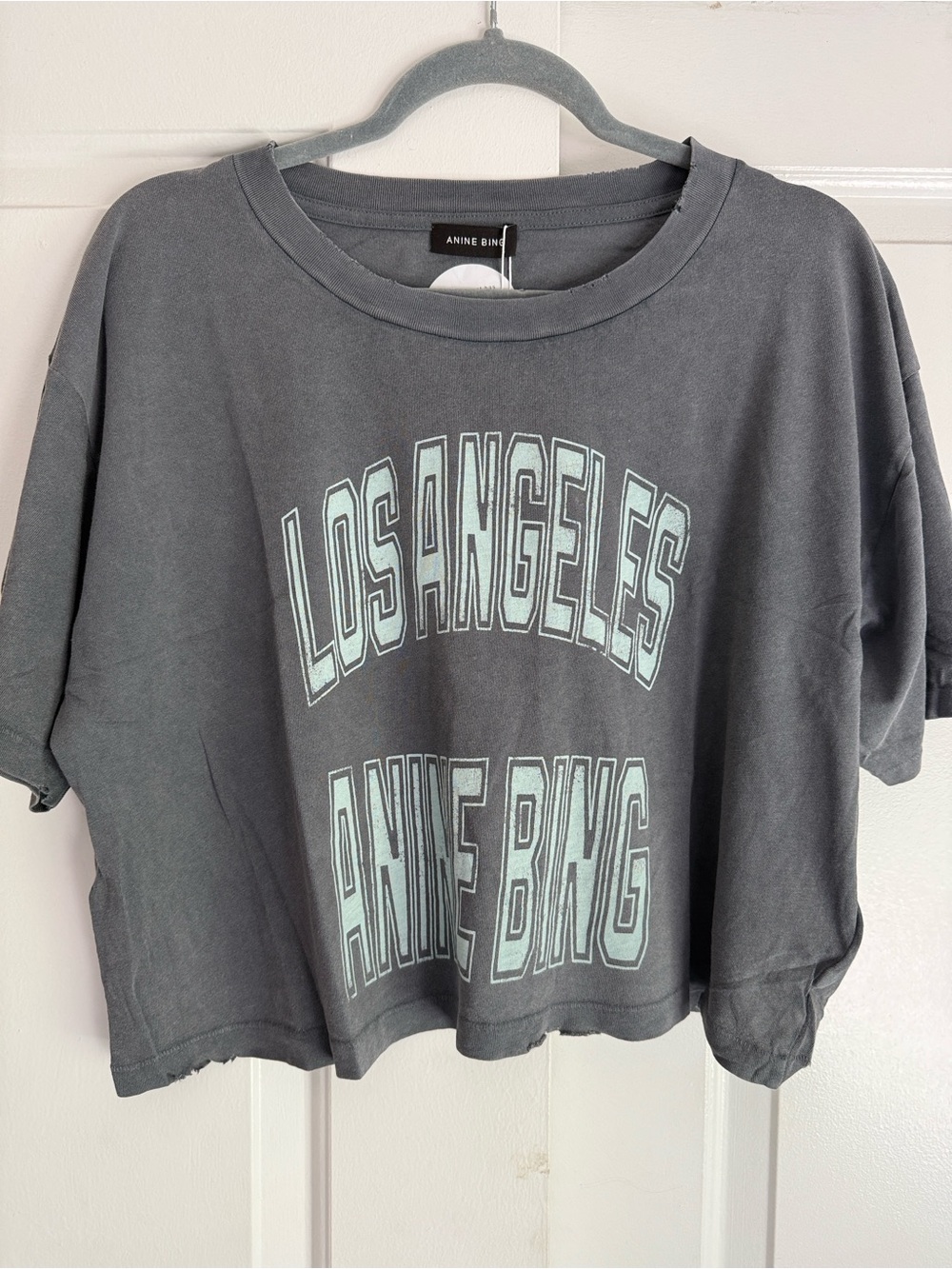 🤩 MUST HAVE!! Anine Bing Johnny Cropped Washed Gray 'Los Angeles' Graphic Tee - Picture 5 of 7